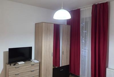 Garsonieră decomandată în Turnișor - 2
