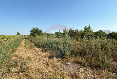 Teren Tartasesti langa complex Buna Ziua - 5