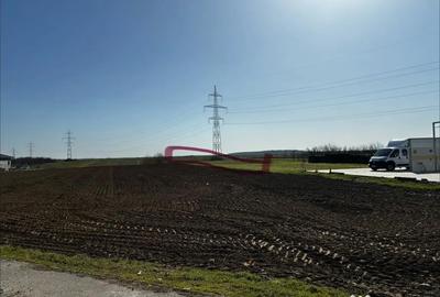 Teren în Movila (Niculești) - 5