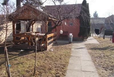 Teren de 3500 mp, în Mehala - 15