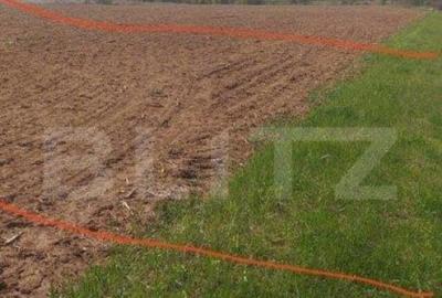 Teren intravilan 5400 mp, deschidere 22 ml, in Baicoi - 4