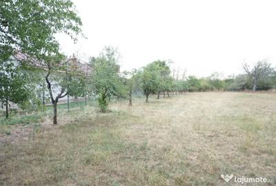 Teren de 1777 mp, în Buda (Ariceștii Rahtivani) - 5