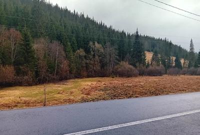 Spațiu comercial, în Poiana Horea - 2