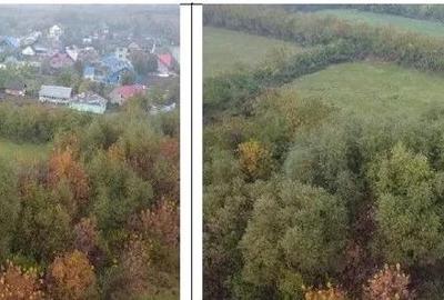 Teren extravilan Bacesti, ID: R2822108 - 9