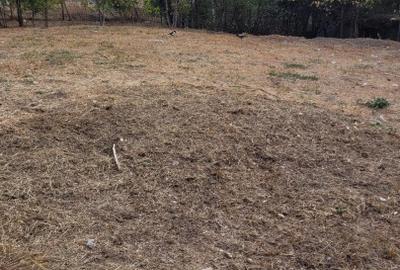 Teren dezvoltare imobiliara Colentina - Maior Bacila - 1