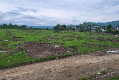 Teren de 7500 mp, în Voila - 3