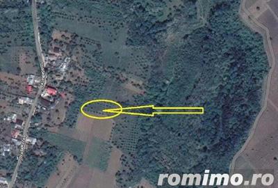Teren extravilan livada cota 1/2 Candesti, ID : R1965265 - 4