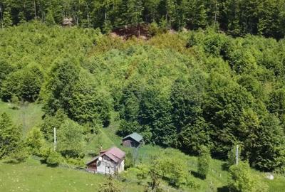 Casă cu 3 camere cu Teren 1614 Mp în Sita Buzăului - 10