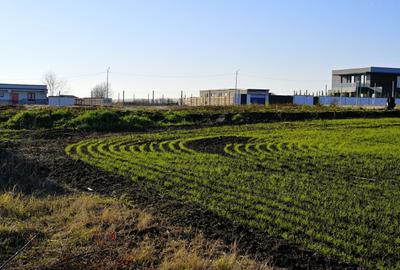 TEREN 762mp zona privata exclusivista Izvorani Delta Snagov la 100m lac - 9