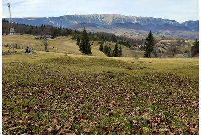 Teren Cu Priveliste Panoramica Si Acces Din Drumul Principal - 5