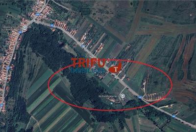Teren intravilan 2100 mp de vanzare in Teleac la asfalt cu toate utilitatile - 4