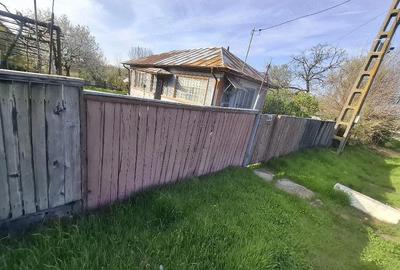 Casă cu Teren 1273 Mp în Dobra - 3