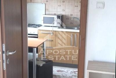 Apartament cu o camera, ideal pentru investitie, zona Lipovei - 4
