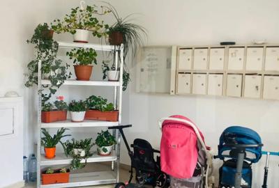 Apartament cu 3 camere decomandat în Braytim - 2