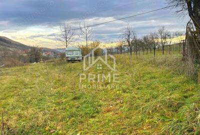 Teren de 1785 mp, în Pâclișa - 1