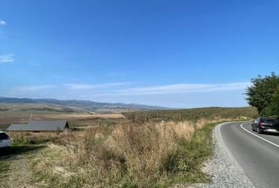 Teren de 2200 mp, în Ciurila - 3