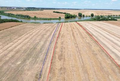 Teren de 6500 mp, în Frumușani - 3