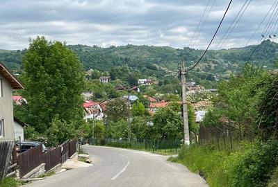 Teren de 4200 mp, în Ocina de Sus