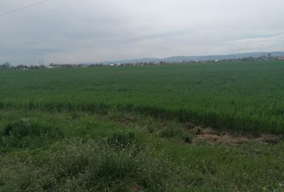 Vand teren, 1500 metri patrati, in intravilanul orasului Bacau - 4
