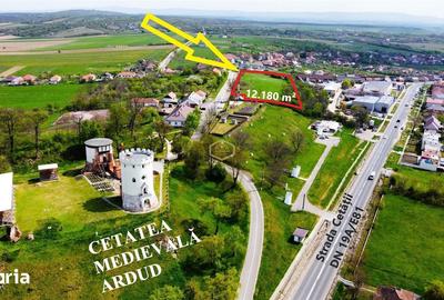 Teren de 12180 mp, în Burdea - 4