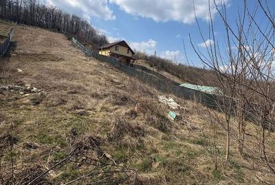 Spațiu comercial, în Central - 2