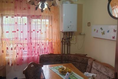 Casa individuala Valu lui Traian - 11