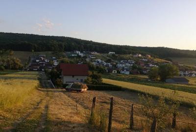 Teren de 400 mp, în Exterior Vest - 3