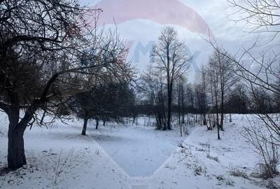 Teren extravilan de 10054 mp, în Mănăstirea - 3