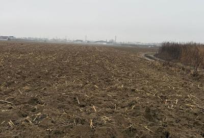 Spațiu comercial, în Lilieci - 5