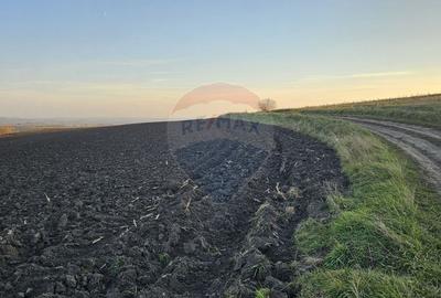 Teren agricol extravilan de 30077 mp, în Stroiești - 13