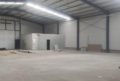 2 Hale noi Afumati- Moara Domneasca - 3