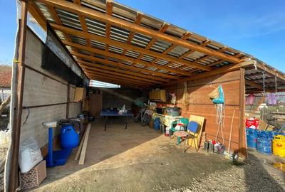 Casa noua la tara - 4