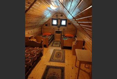 Proprietate Unică în Inima Naturii - Galaoaia, Mureș - 12