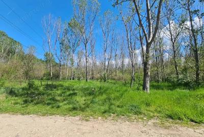 Teren de vanzare / Dem Radulescu - 5