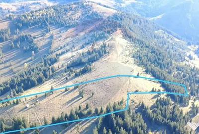 Teren de 47732 mp, în Panaci - 10