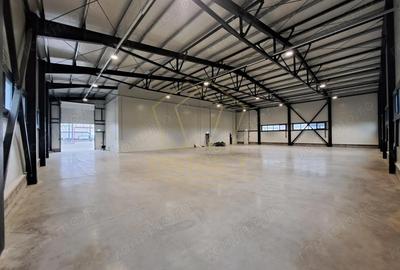 Spațiu comercial, de 921 mp, în Giarmata - 3