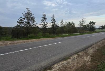 LIVADA  DE VANZARE FOCSANI-DUMBRAVITA  1,8  HA - 24