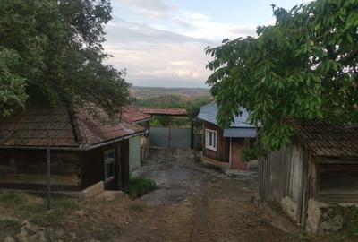 Casă cu 4 camere în Cacova Ierii - 2