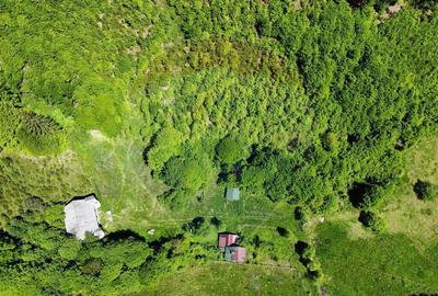 Comision 0%! Proprietate in natura, priveliste superba, S... - 10