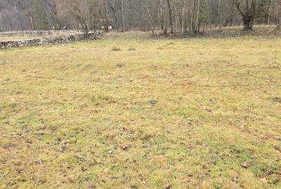 VAND TEREN INTRAVILAN SATIC, COMUNA RUCAR, JUDETUL ARGES - 6