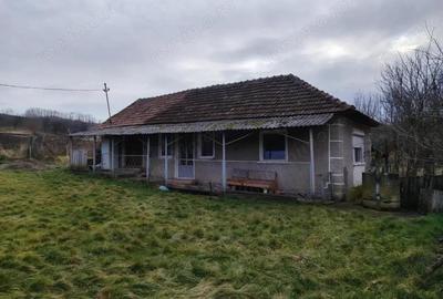 Casa de vanzare in Iteu Nou - 3