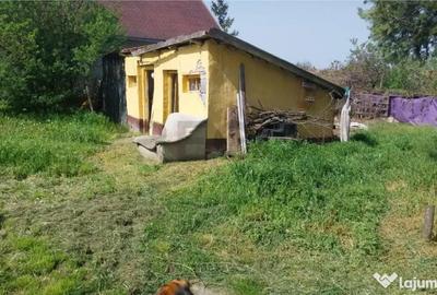 Casă cu 3 camere cu Canalizare în Salonta - 17