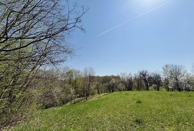 Spațiu comercial, în Central - 2