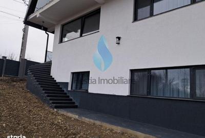 Casă cu 8 camere cu Canalizare în Viticultori - 16