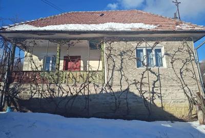 Teren de 5400 mp, în Sălătrucel - 5