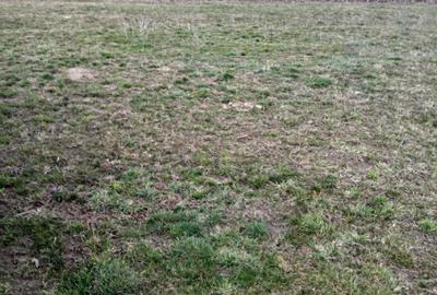 Spațiu comercial, în Cristian - 6