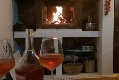 Cazare petreceri ,aniversari , cabana , vila , capacitate 14 persoane - 3