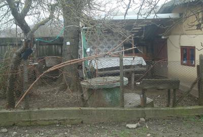 Casă cu 3 camere cu Teren 1500 Mp în Fundoaia - 3
