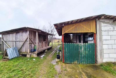 Casa Ungheni Arges - 11