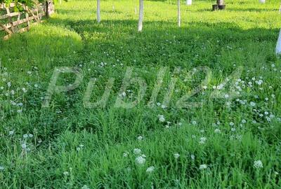 Casă cu 3 camere în Sălătrucel - 2